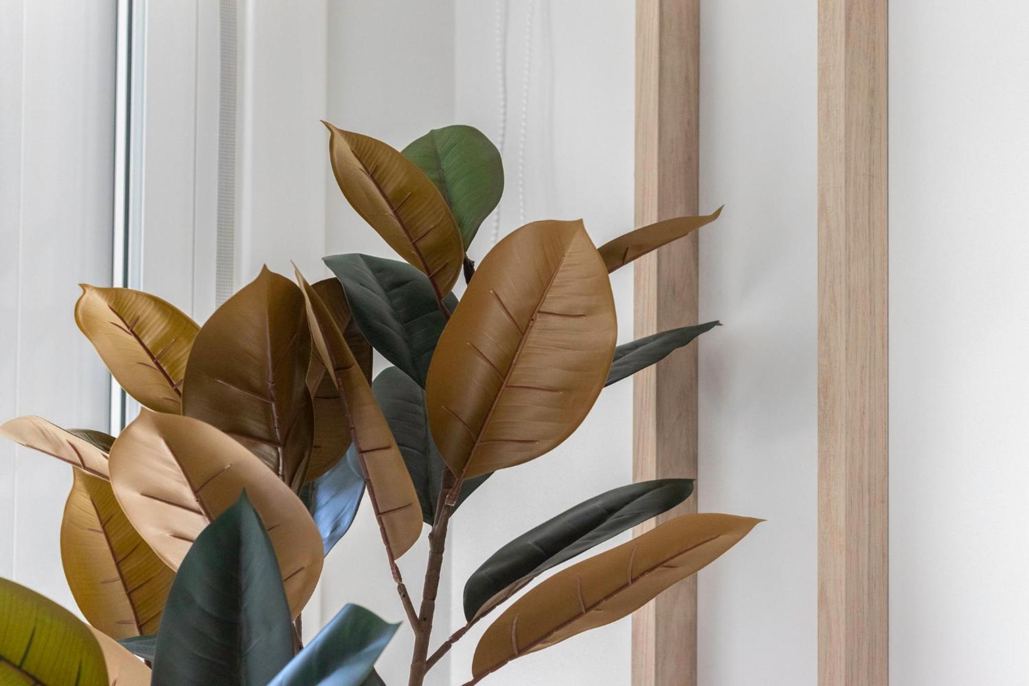 Apartment Akomodat En Nuevo Y Precioso En Algorta Con Parking Getxo